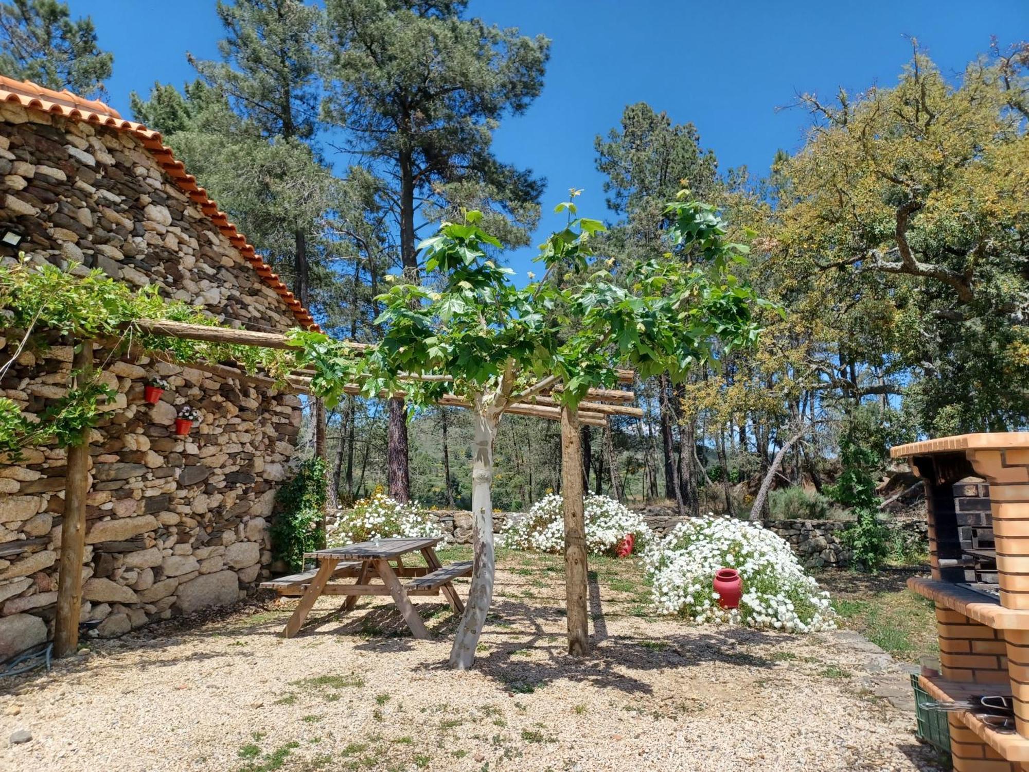 Casa Do Feitor - Douro - Quinta Da Cabrida Villa Sendim  Exteriör bild