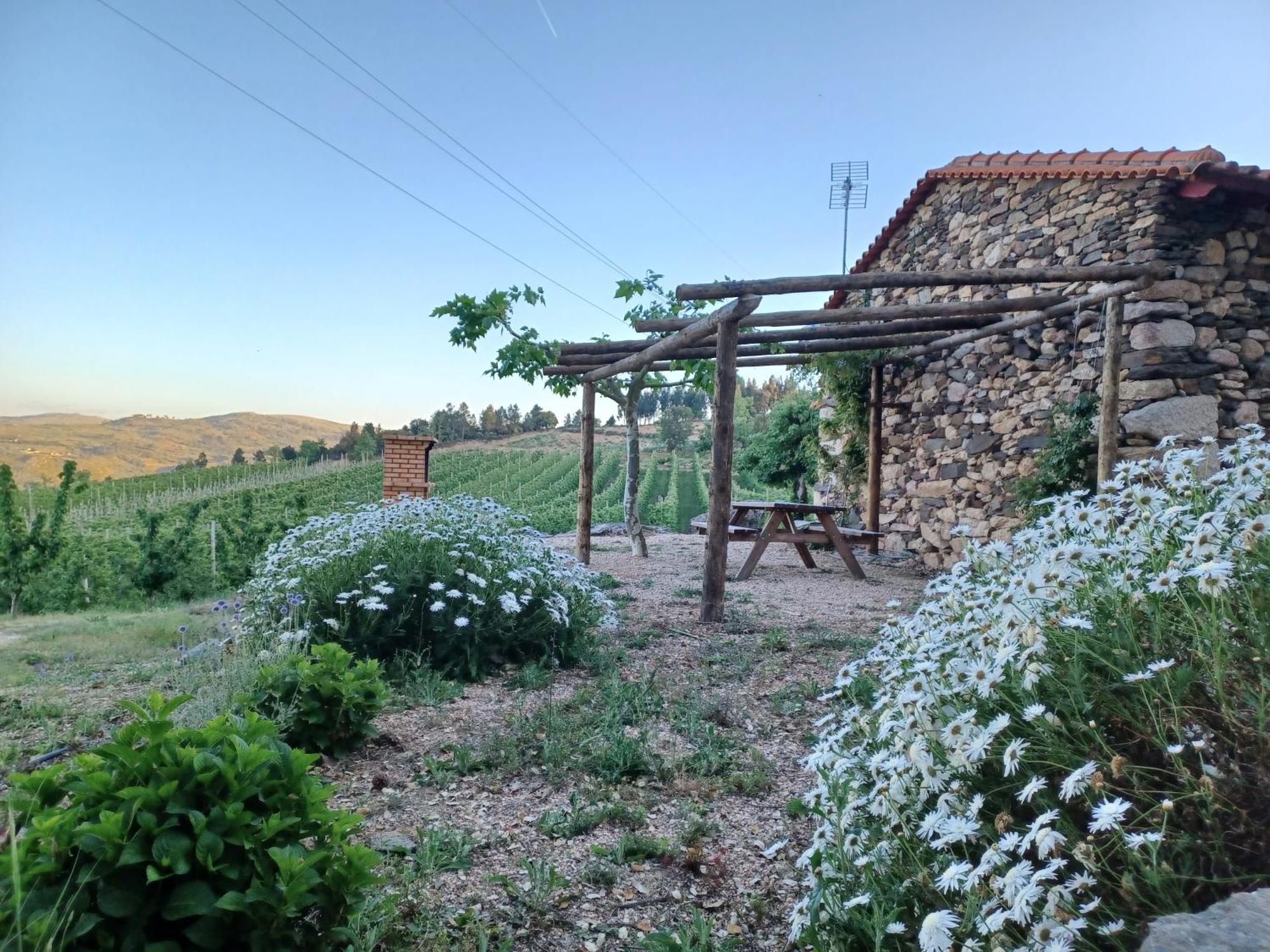 Casa Do Feitor - Douro - Quinta Da Cabrida Villa Sendim  Exteriör bild