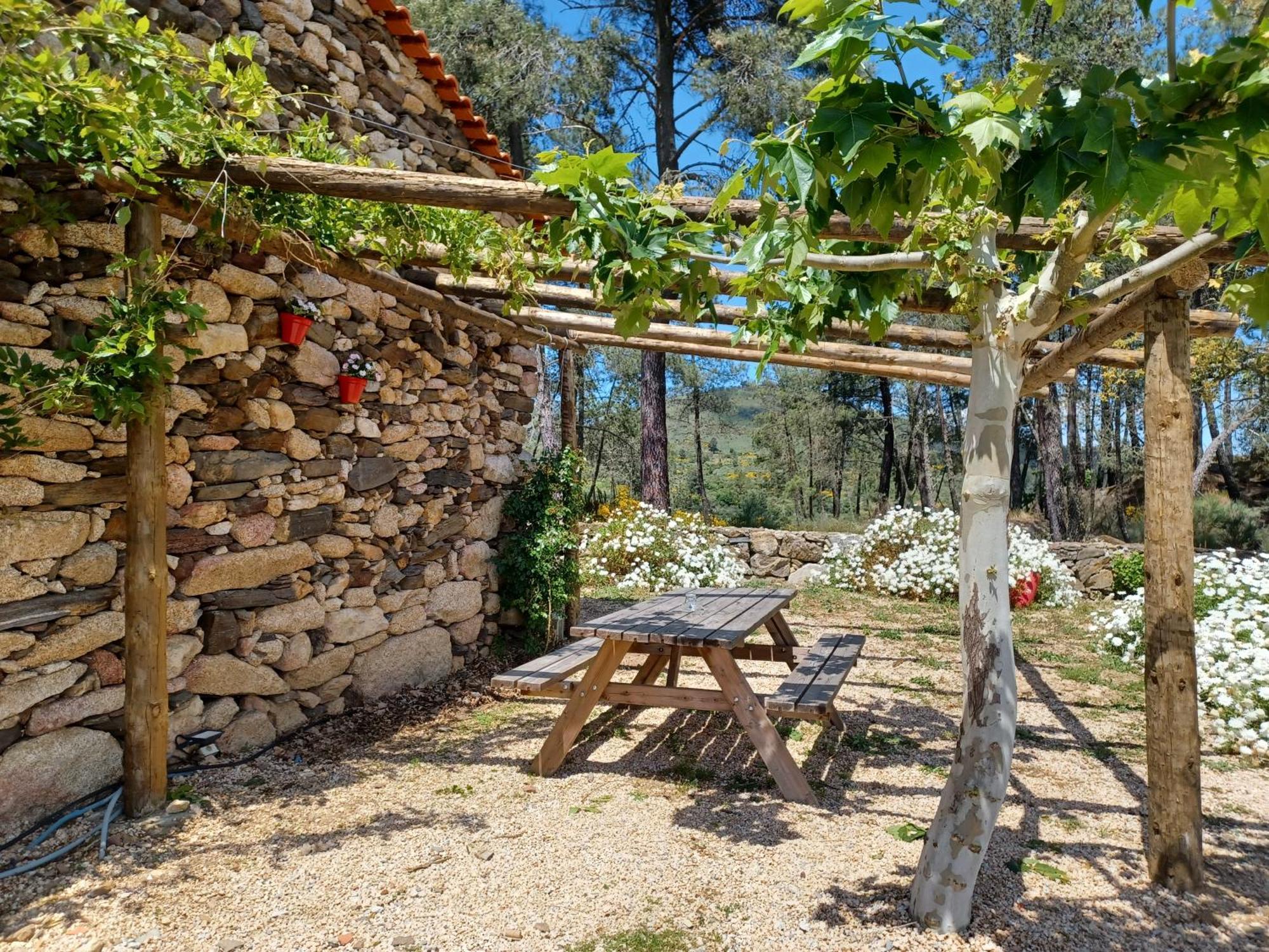 Casa Do Feitor - Douro - Quinta Da Cabrida Villa Sendim  Exteriör bild