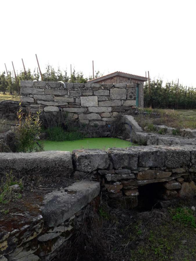 Casa Do Feitor - Douro - Quinta Da Cabrida Villa Sendim  Exteriör bild