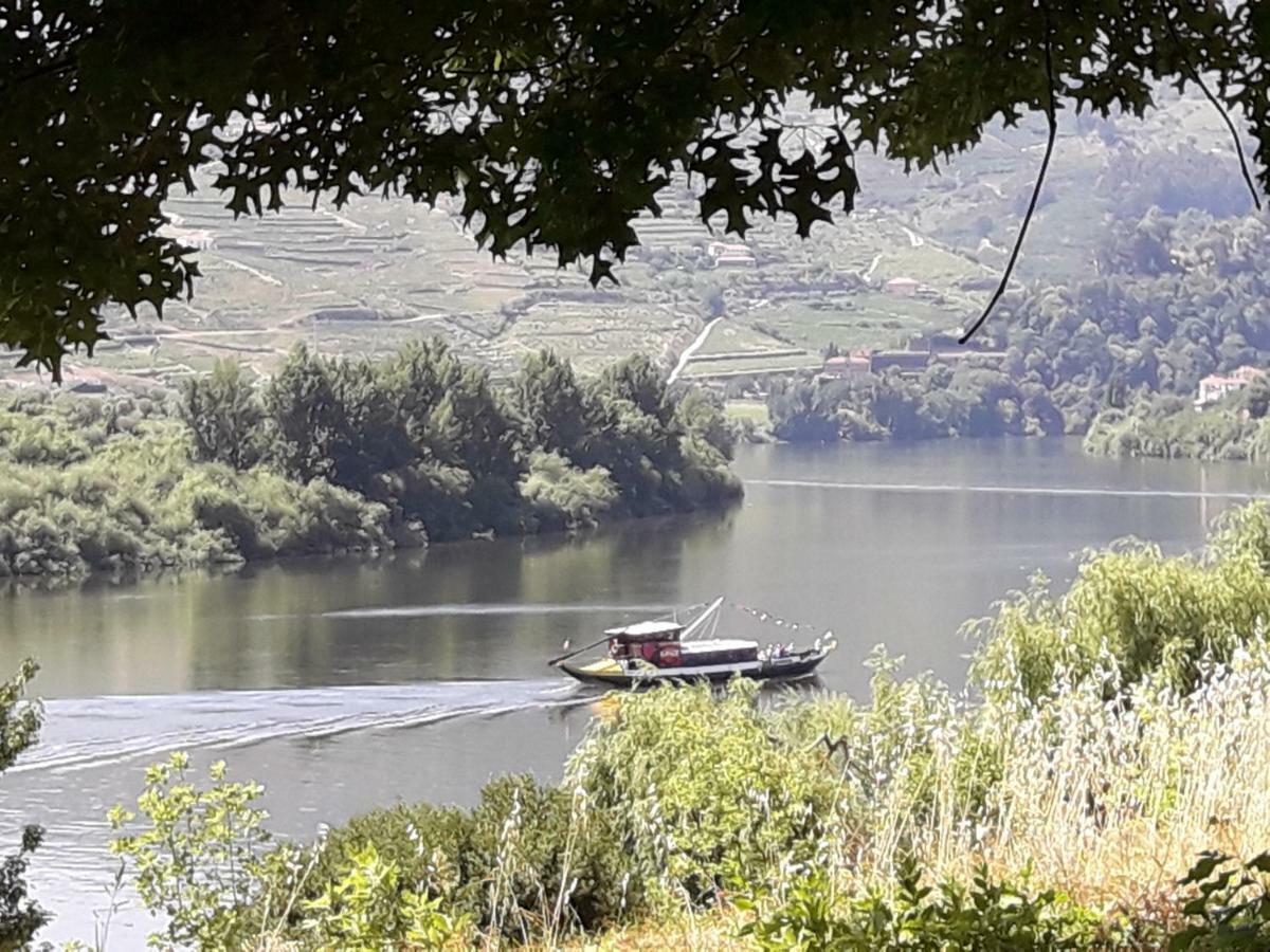 Casa Do Feitor - Douro - Quinta Da Cabrida Villa Sendim  Exteriör bild