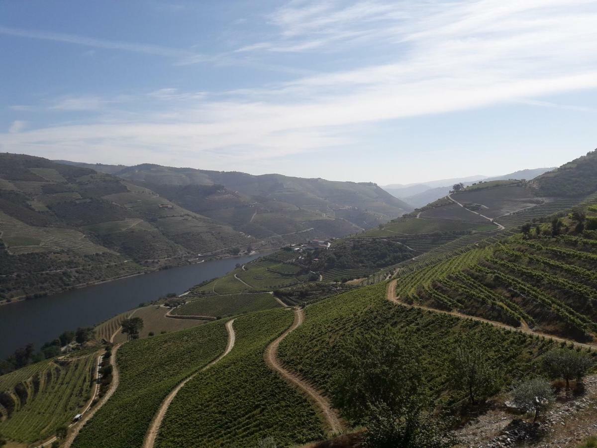 Casa Do Feitor - Douro - Quinta Da Cabrida Villa Sendim  Exteriör bild