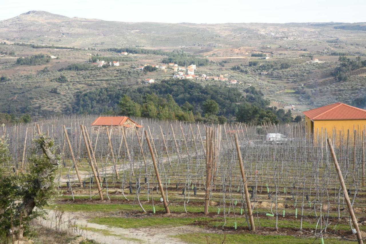 Casa Do Feitor - Douro - Quinta Da Cabrida Villa Sendim  Exteriör bild